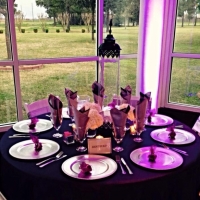 reception tables in March in Houston