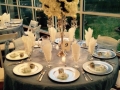 reception table with a beautiful view at house plantation - wedding reception photos