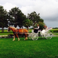 horse and carriage at House  Estate.JPG