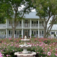 roses and front entrance - wedding venue photos