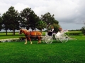 horse and carriage at House  Estate.JPG