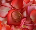 rings and rose petals