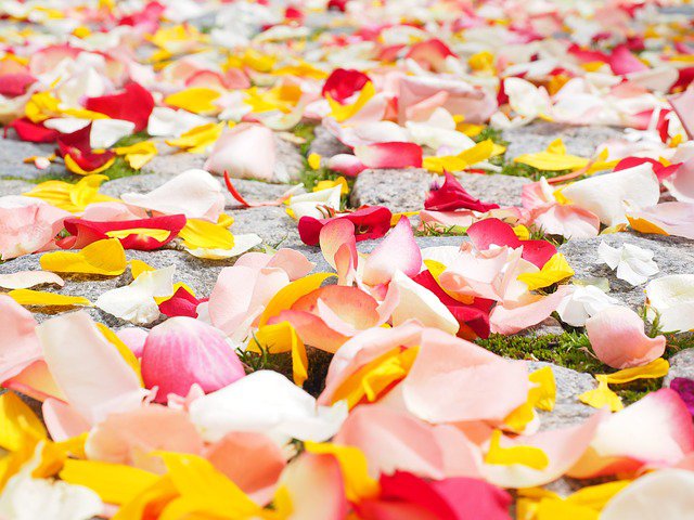 rose petals wedding ideas