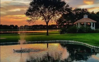 Choosing the Perfect Lakeview Wedding Venue in Houston