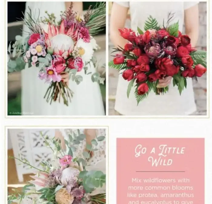 Protea Flower Ideas for your Wedding Day
