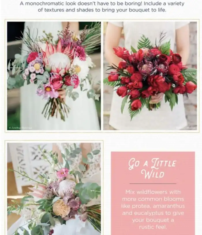 Protea Flower Ideas for your Wedding Day