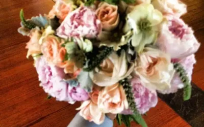 Searching For the Right Wedding Venue