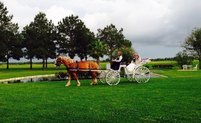 Finding Extraordinary Wedding Gifts for the Bride and Groom