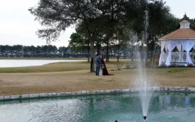 Planning Your Dream Lakeview Wedding Venue in Houston