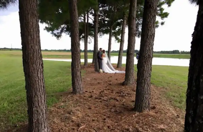 Seamless Celebrations: Reception Venues Conveniently Located Near Houston